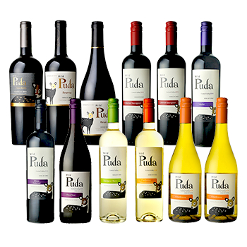 【セット】プダ パーティ飲み比べ 12本セット / アレスティ◎(PUDA VARIETY BOTTLE SET◎)